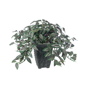 tFCNO[y Zui z40 × s30 × 25cmItBXO[ ϗtA tFCN lHϗtA  JƏj JXj ړ]j Vzj 蕨 