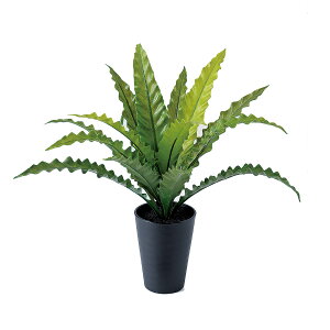 tFCNO[y G} AXvjE S z40 × s40 × 45cmItBXO[ ϗtA tFCN lHϗtA  JƏj JXj ړ]j Vzj 蕨 