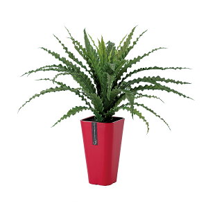 tFCNO[y G} AXvjE L z65 × s65 × 65cmItBXO[ ϗtA tFCN lHϗtA  JƏj JXj ړ]j Vzj 蕨 