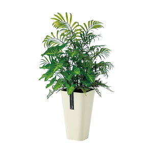 tFCNO[y e[uV AW z40 × s40 × 65cmItBXO[ ϗtA tFCN lHϗtA  JƏj JXj ړ]j Vzj 蕨 