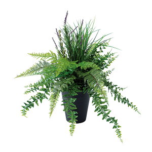 tFCNO[y G} Z[WMIXubV z50 × s40 × 50cmItBXO[ ϗtA tFCN lHϗtA  JƏj JXj ړ]j Vzj 蕨 