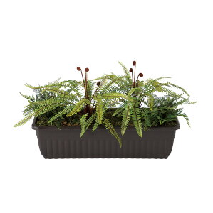 tFCNO[y vg{bNX z75 × s40 × 40cmItBXO[ ϗtA tFCN lHϗtA  JƏj JXj ړ]j Vzj 蕨 