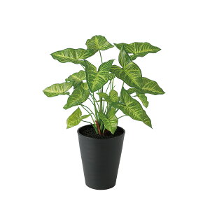 tFCNO[y VSjE z30 × s30 × 43cmItBXO[ ϗtA tFCN lHϗtA  JƏj JXj ړ]j Vzj 蕨 