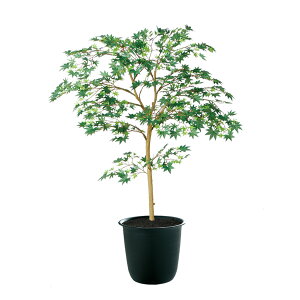 tFCNO[y G} }~W GREEN FST z70 × s70 × 100cmItBXO[ ϗtA tFCN lHϗtA ^ JƏj JXj ړ]j Vzj 蕨 