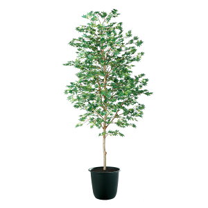 tFCNO[y }~W  z80 × s80 × 180cmItBXO[ ϗtA tFCN lHϗtA ^ JƏj JXj ړ]j Vzj 蕨 