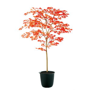 tFCNO[y G} }~W RED FST z100 × s90 × 150cmItBXO[ ϗtA tFCN lHϗtA ^ JƏj JXj ړ]j Vzj 蕨 