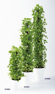 tFCNO[y G} MIXwS C/C z30 × s30 × 90cmItBXO[ ϗtA tFCN lHϗtA ^ JƏj JXj ړ]j Vzj 蕨 