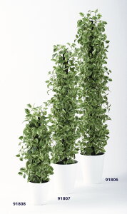 tFCNO[y }[u|gXwS z30 × s30 × 150cmItBXO[ ϗtA tFCN lHϗtA ^ JƏj JXj ړ]j Vzj 蕨 