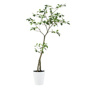 フェイクグリーン【 光触媒 ガジュマル FST 】幅80 × 奥行60 × 高さ150cmオフィスグリーン 観葉植物 フェイク 人工観葉植物 大型 開業祝い 開店祝い 移転祝い 新築祝い 贈り物 おしゃれ