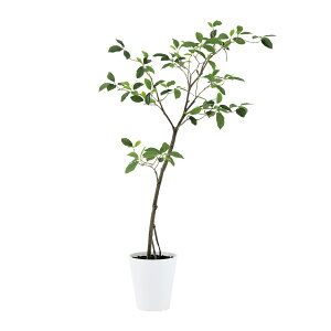 フェイクグリーン【 ガジュマル FST 】幅70 × 奥行55 × 高さ120cmオフィスグリーン 観葉植物 フェイク 人工観葉植物 大型 開業祝い 開店祝い 移転祝い 新築祝い 贈り物 おしゃれ