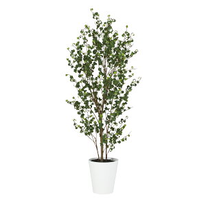 tFCNO[y xW~obN FST z45 × s45 × 120cmItBXO[ ϗtA tFCN lHϗtA ^ JƏj JXj ړ]j Vzj 蕨 