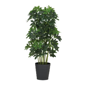 tFCNO[y G} O[J|bN z50 × s50 × 100cmItBXO[ ϗtA tFCN lHϗtA ^ JƏj JXj ړ]j Vzj 蕨 