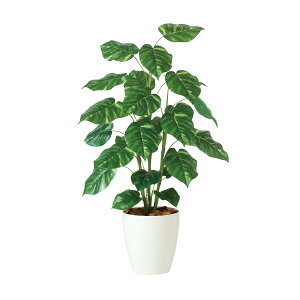 tFCNO[y |gX R z70 × s70 × 110cmItBXO[ ϗtA tFCN lHϗtA ^ JƏj JXj ړ]j Vzj 蕨 