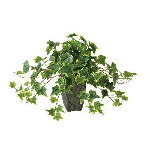 tFCNO[y G} OCVAACr[ z40 × s30 × 35cmItBXO[ ϗtA tFCN lHϗtA  JƏj JXj ړ]j Vzj 蕨 