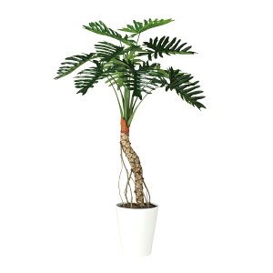 tFCNO[y G} Z[ z90 × s80 × 150cmItBXO[ ϗtA tFCN lHϗtA ^ JƏj JXj ړ]j Vzj 蕨 