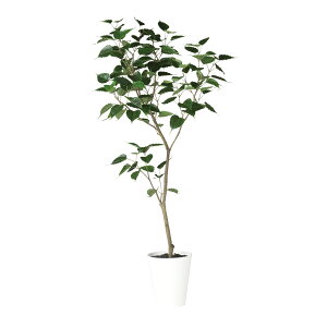 tFCNO[y Ch{_CW FST z80 × s60 × 180cmItBXO[ ϗtA tFCN lHϗtA ^ JƏj JXj ړ]j Vzj 蕨 