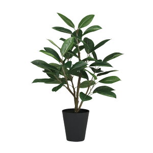 tFCNO[y fRS FST z60 × s55 × 80cmItBXO[ ϗtA tFCN lHϗtA ^ JƏj JXj ړ]j Vzj 蕨 