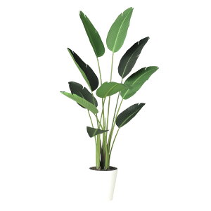 tFCNO[y G} I[KX^ z70 × s70 × 150cmItBXO[ ϗtA tFCN lHϗtA ^ JƏj JXj ړ]j Vzj 蕨 