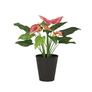 tFCNO[y G} J[ z60 × s45 × 55cmItBXO[ ϗtA tFCN lHϗtA  JƏj JXj ړ]j Vzj 蕨 