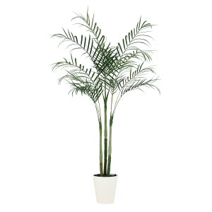 tFCNO[y AJV PE z80 × s80 × 170cmItBXO[ ϗtA tFCN lHϗtA ^ JƏj JXj ړ]j Vzj 蕨 