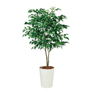 tFCNO[y xW~ Ch FST z90 × s90 × 150cmItBXO[ ϗtA tFCN lHϗtA ^ JƏj JXj ړ]j Vzj 蕨 