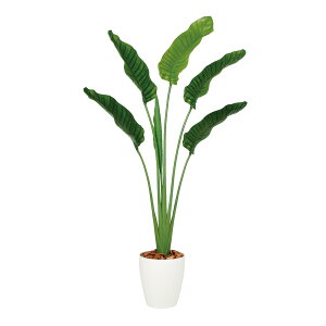 tFCNO[y G} Xg`AEI[KX^ z90 × s60 × 160cmItBXO[ ϗtA tFCN lHϗtA ^ JƏj JXj ړ]j Vzj 蕨 