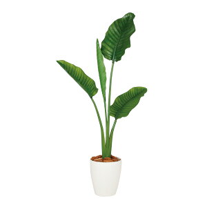 tFCNO[y G} Xg`AEI[KX^ z70 × s40 × 130cmItBXO[ ϗtA tFCN lHϗtA ^ JƏj JXj ړ]j Vzj 蕨 