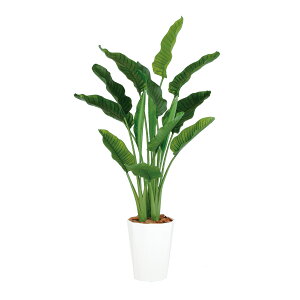 tFCNO[y Xg`AEI[KX^ MIX z110 × s70 × 170cmItBXO[ ϗtA tFCN lHϗtA ^ JƏj JXj ړ]j Vzj 蕨 