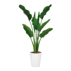 tFCNO[y G} Xg`AEI[KX^ MIX z90 × s50 × 130cmItBXO[ ϗtA tFCN lHϗtA ^ JƏj JXj ړ]j Vzj 蕨 