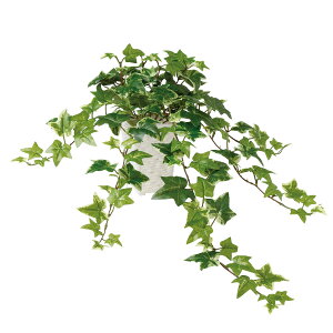 tFCNO[y G} Z[WACr[ z50 × s50 × 30 × 45cmItBXO[ ϗtA tFCN lHϗtA  JƏj JXj ړ]j Vzj 蕨 