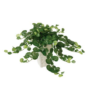 tFCNO[y TLVtKubV z45 × s40 × 30cmItBXO[ ϗtA tFCN lHϗtA  JƏj JXj ړ]j Vzj 蕨 