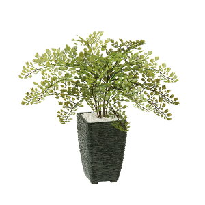 tFCNO[y AWA^ z35 × s35 × 30cmItBXO[ ϗtA tFCN lHϗtA  JƏj JXj ړ]j Vzj 蕨 