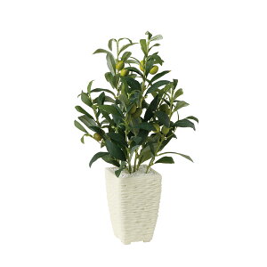 tFCNO[y CvI[u z25 × s20 × 40cmItBXO[ ϗtA tFCN lHϗtA  JƏj JXj ړ]j Vzj 蕨 