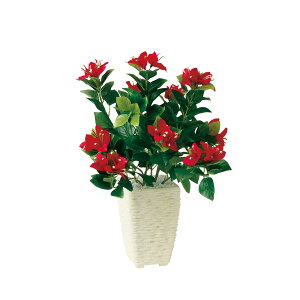 tFCNO[y u[QrA S z25 × s25 × 40cmItBXO[ ϗtA tFCN lHϗtA  JƏj JXj ړ]j Vzj 蕨 