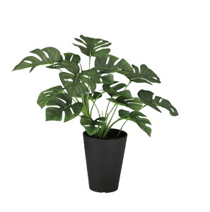 tFCNO[y XeubV z35 × s30 × 40cmItBXO[ ϗtA tFCN lHϗtA  JƏj JXj ړ]j Vzj 蕨 