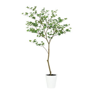 tFCNO[y hE_ccW FST z90 × s80 × 160cmItBXO[ ϗtA tFCN lHϗtA ^ JƏj JXj ړ]j Vzj 蕨 