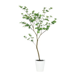 tFCNO[y G}H hE_ccW FST z130 × 70 × s65cmItBXO[ ϗtA tFCN lHϗtA ^ JƏj JXj ړ]j Vzj 蕨 