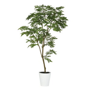 tFCNO[y Go[tbV FST z90 × s65 × 150cmItBXO[ ϗtA tFCN lHϗtA ^ JƏj JXj ړ]j Vzj 蕨 