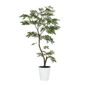 tFCNO[y Go[tbV FST z60 × s60 × 120cmItBXO[ ϗtA tFCN lHϗtA ^ JƏj JXj ړ]j Vzj 蕨 