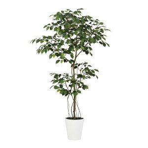 tFCNO[y G} xW~ FST z70 × s60 × 150cmItBXO[ ϗtA tFCN lHϗtA ^ JƏj JXj ړ]j Vzj 蕨 