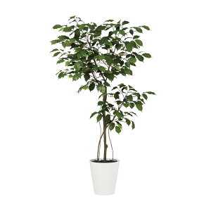 tFCNO[y G} xW~ FST z60 × s50 × 120cmItBXO[ ϗtA tFCN lHϗtA ^ JƏj JXj ړ]j Vzj 蕨 