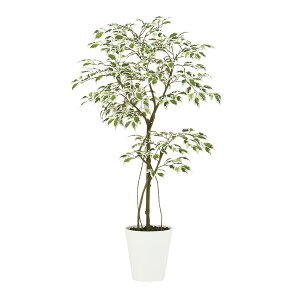 tFCNO[y G} X^[Cg FST z60 × s50 × 120cmItBXO[ ϗtA tFCN lHϗtA ^ JƏj JXj ړ]j Vzj 蕨 