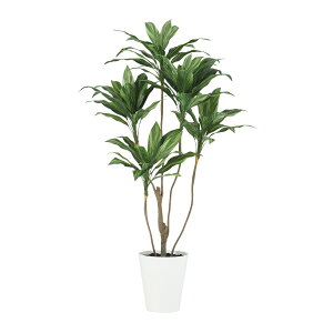 tFCNO[y RfBl z90 × s90 × 160cmItBXO[ ϗtA tFCN lHϗtA ^ JƏj JXj ړ]j Vzj 蕨 