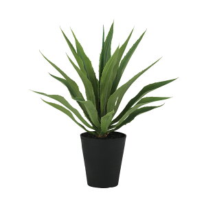 tFCNO[y G} AKxEAJ[i z70 × s70 × 80cmItBXO[ ϗtA tFCN lHϗtA ^ JƏj JXj ړ]j Vzj 蕨 