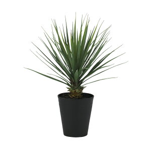 tFCNO[y G} bJEXg[^ z55 × s55 × 70cmItBXO[ ϗtA tFCN lHϗtA ^ JƏj JXj ړ]j Vzj 蕨 