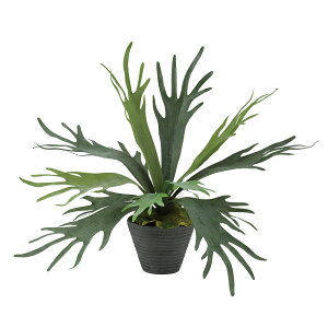 tFCNO[y RE z60 × s60 × 50cmItBXO[ ϗtA tFCN lHϗtA  JƏj JXj ړ]j Vzj 蕨 