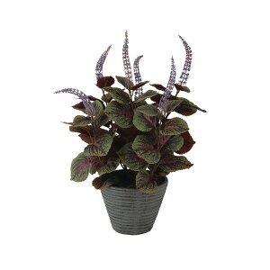 tFCNO[y REX z30 × s25 × 45cmItBXO[ ϗtA tFCN lHϗtA  JƏj JXj ړ]j Vzj 蕨 