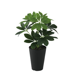 tFCNO[y G} O[J|bN S z25 × s30 × 35cmItBXO[ ϗtA tFCN lHϗtA  JƏj JXj ړ]j Vzj 蕨 