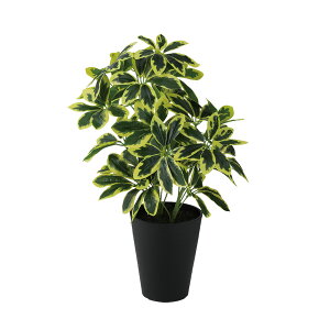 tFCNO[y G} CG[J|bN M z35 × s35 × 50cmItBXO[ ϗtA tFCN lHϗtA  JƏj JXj ړ]j Vzj 蕨 