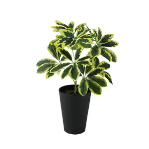 tFCNO[y G} CG[J|bN S z25 × s30 × 35cmItBXO[ ϗtA tFCN lHϗtA  JƏj JXj ړ]j Vzj 蕨 